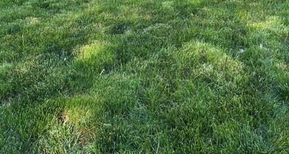 Lovely 2-bedroom room rental in Blue Springs