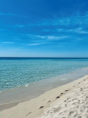 Beach - Tourist Location Le Vele I Relax with the whole family in this accommodation (San Pietro In Bevagna)