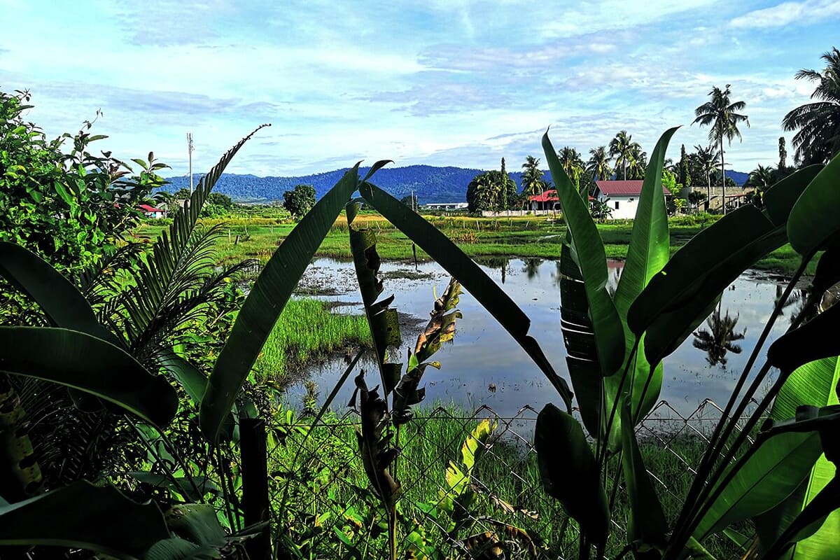 Ländliche Landschaft mit Teich, üppigem Grün und Bergen in der Ferne.
