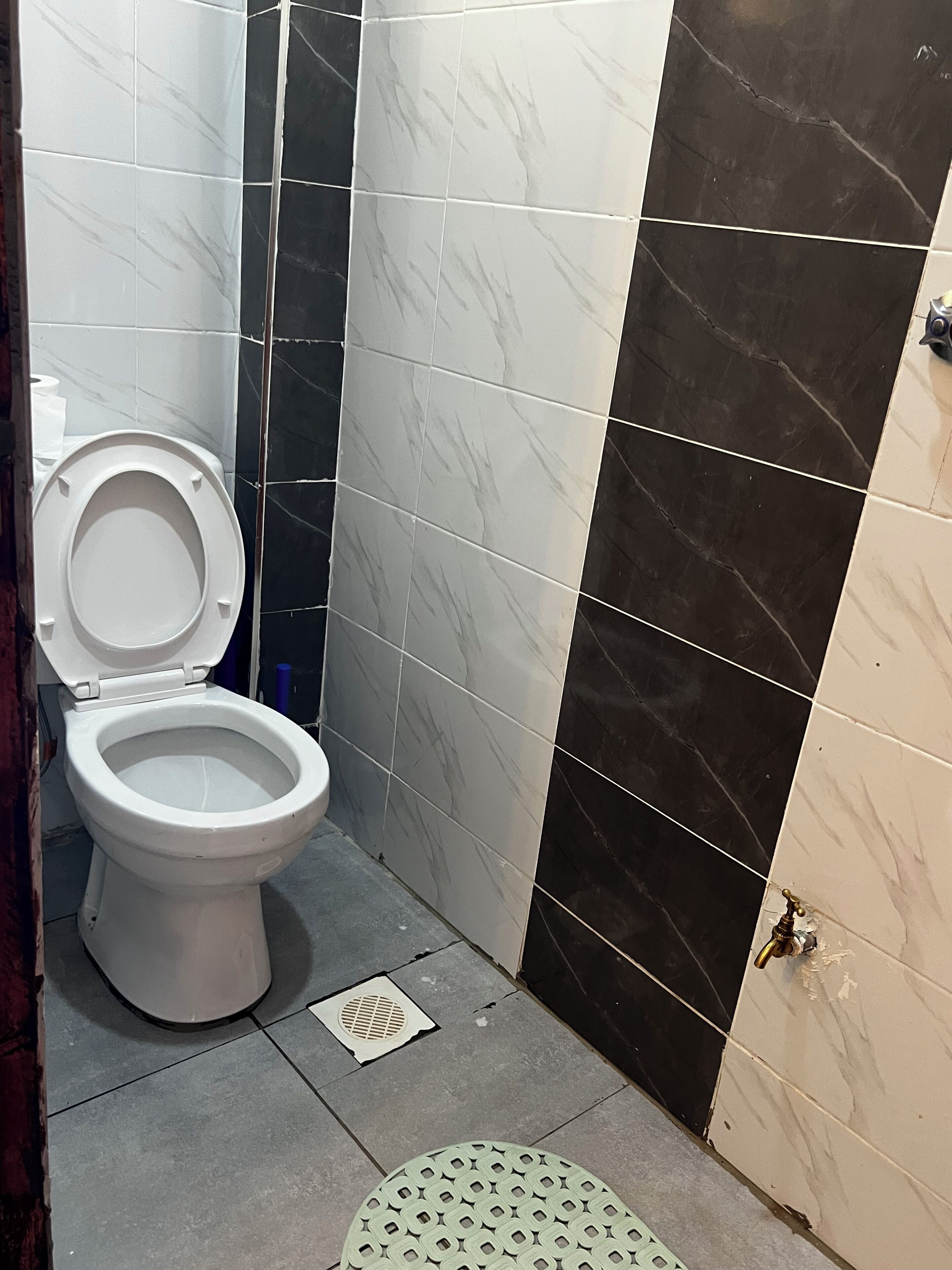 Une salle de bain avec des toilettes, une douche et un lavabo.