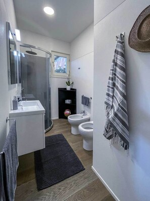 Shower, hair dryer, bidet, towels
