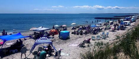 Plage, chaises longues