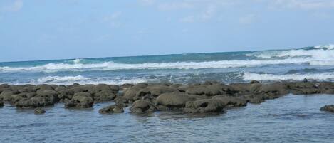 Playa en los alrededores, camastros y toallas de playa