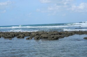 Nära stranden, solstolar och strandhanddukar