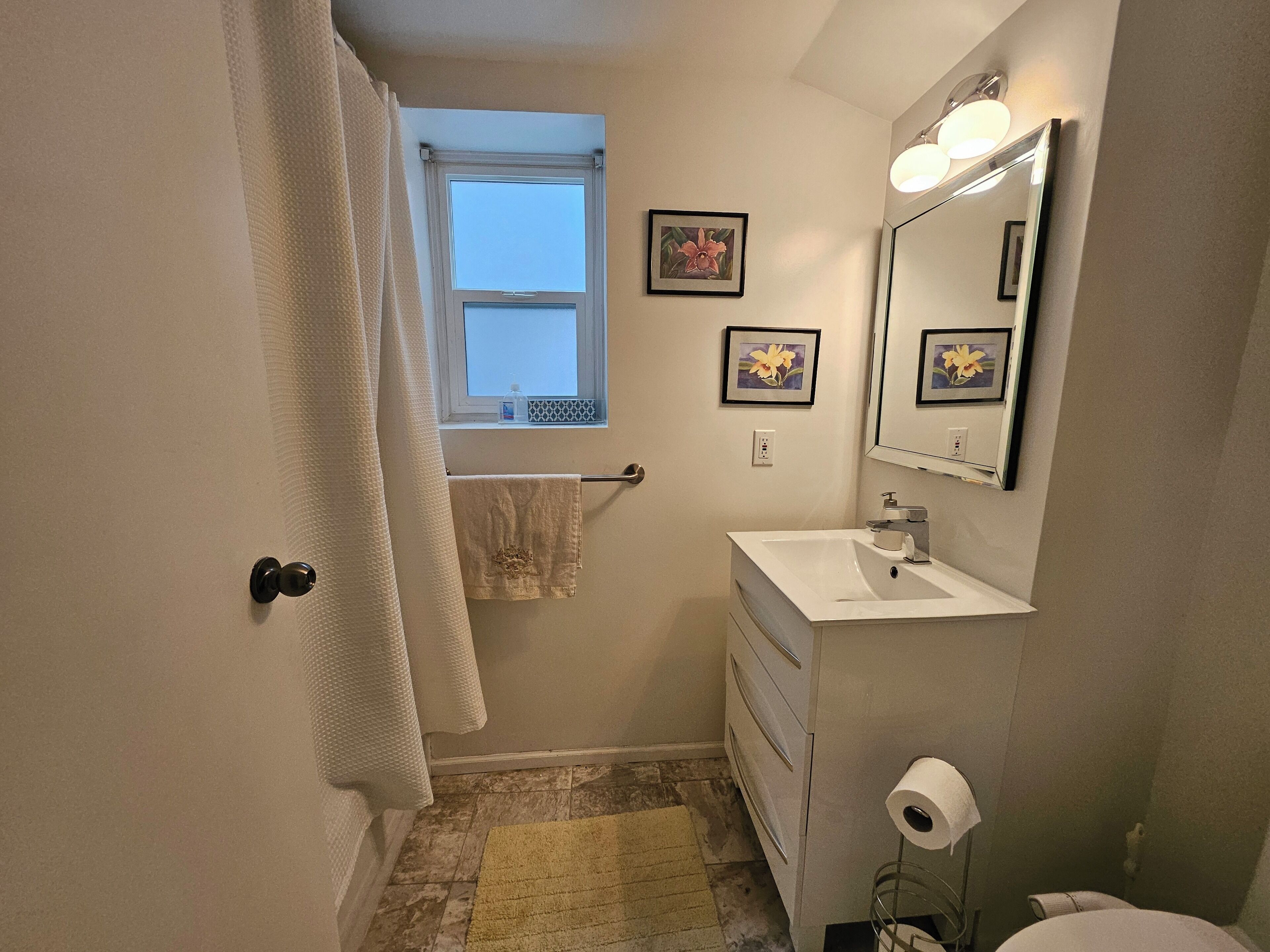 Articles de toilette écologiques, sèche-cheveux, bidet