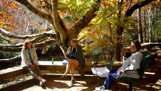 Drie personen zitten op een houten terras onder een grote boom met herfstbladeren.
