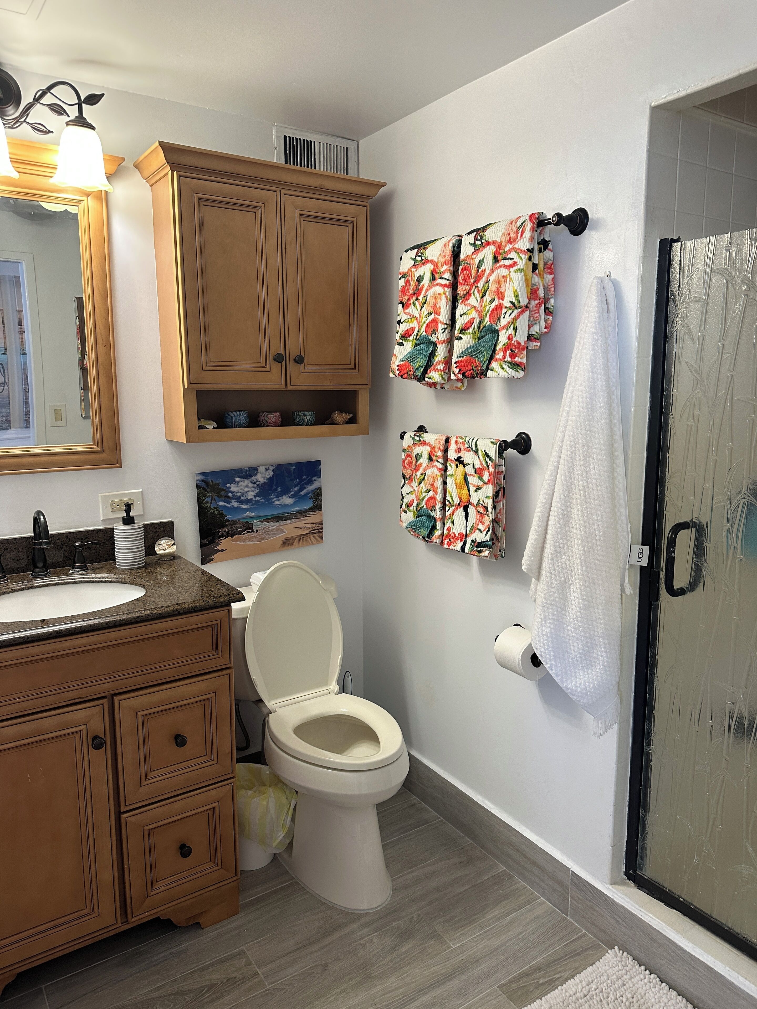 Hair dryer, towels, soap, toilet paper