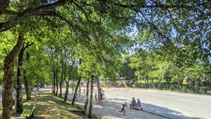 Un parc avec des arbres, une aire de jeux et un banc.