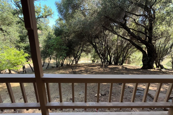 Àrea exterior de l'allotjament