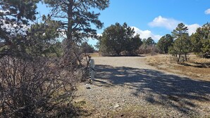 Un sendero de grava serpentea por una zona boscosa y seca, con vegetación escasa y un cielo despejado.