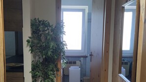 Un pasillo estrecho con suelo de madera, un tapete blanco, una planta en maceta, un armario de madera y un espejo a la derecha.