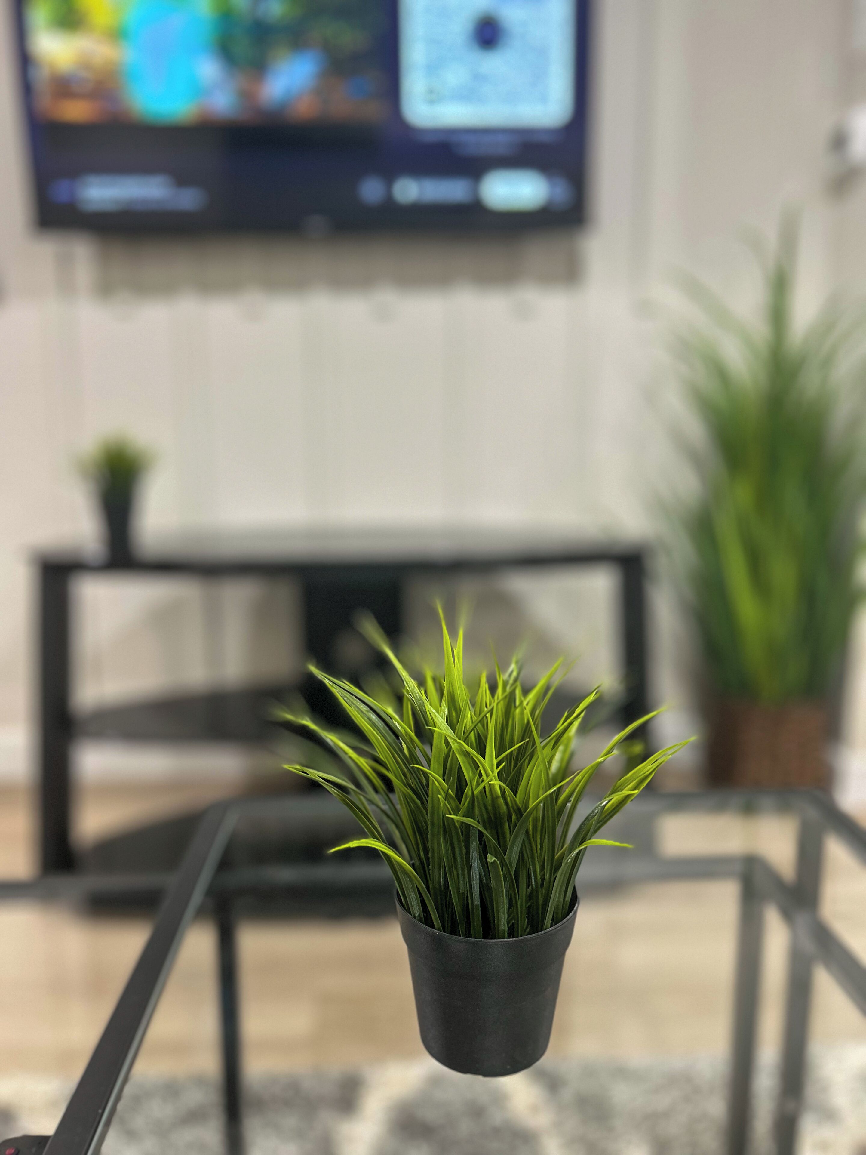 A potted plant on a glass table in a living room with a TV in the background.