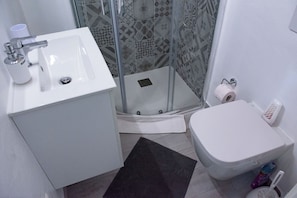 Shower, hair dryer, bidet, towels