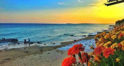 Sea Paradise - 2-room vacation apartment directly on the beach in Sveti Vlas