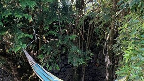Una hamaca atada entre dos árboles en un área boscosa, con un muro de piedra al fondo.