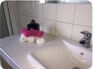 Regadera, secadora de cabello, bidet, toallas 