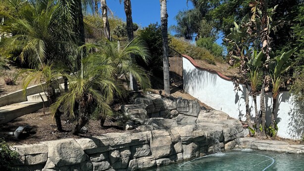 A clear pool with a rocky edge, surrounded by palm trees and a white wall. - Spacious 4/bedroom house in delightfulneighborhood (Corona)