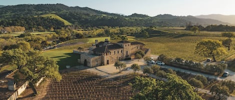 A vineyard with rows of grapevines, a stone building, and a road with parked cars.