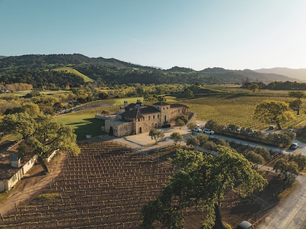 A vineyard with rows of grapevines, a stone building, and a road with parked cars.