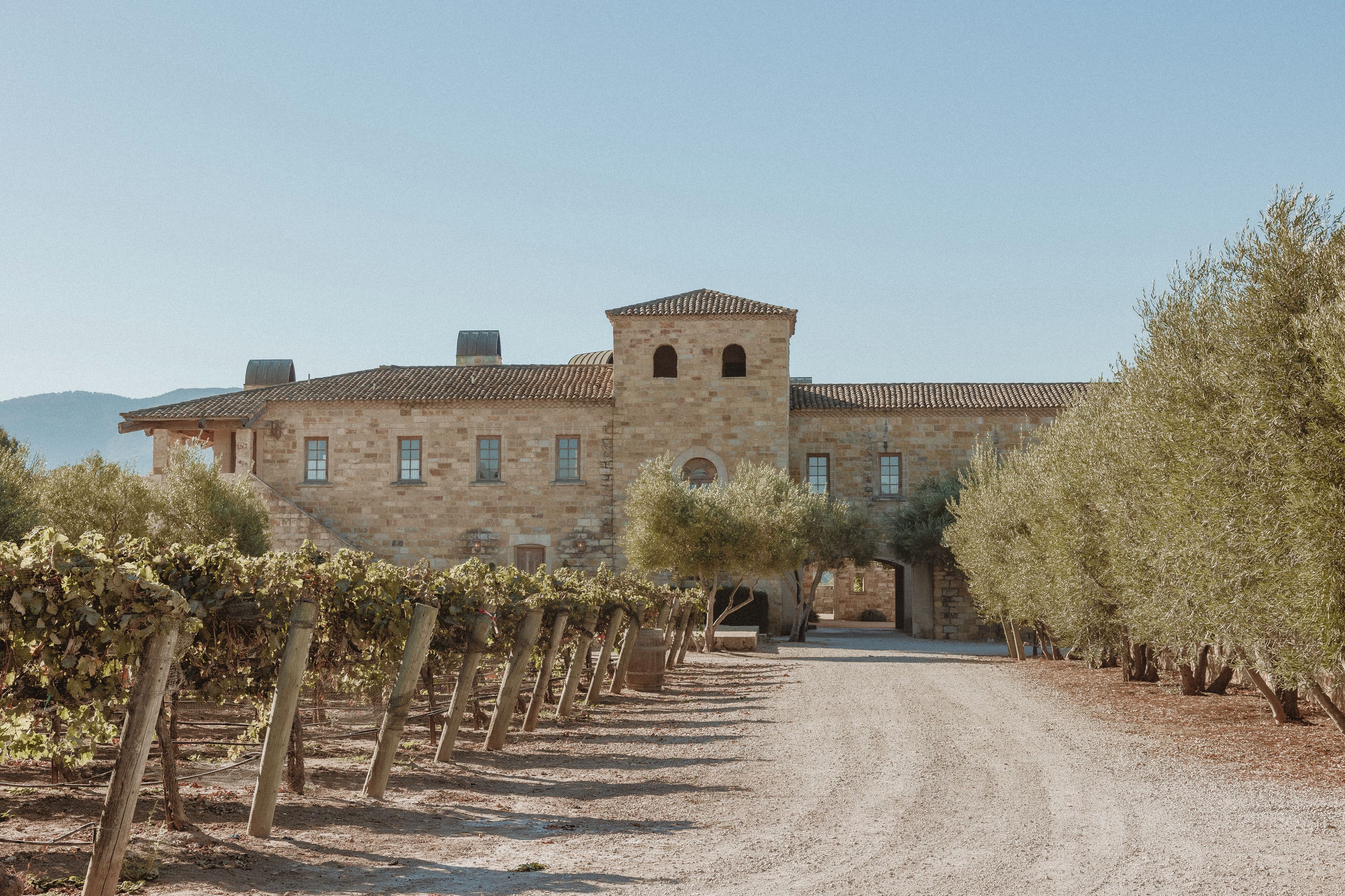 A historic stone building with a central tower, surrounded by rows of grapevines.