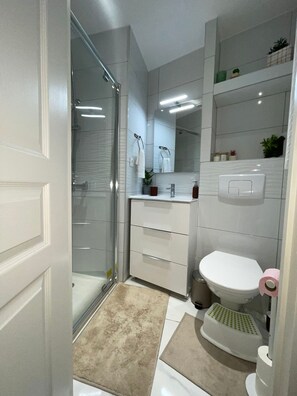 A modern bathroom with a glass shower enclosure, a white toilet, and a vanity with a mirror. - 1-Joli appartement quartier saint-Anne, Reims (Reims)