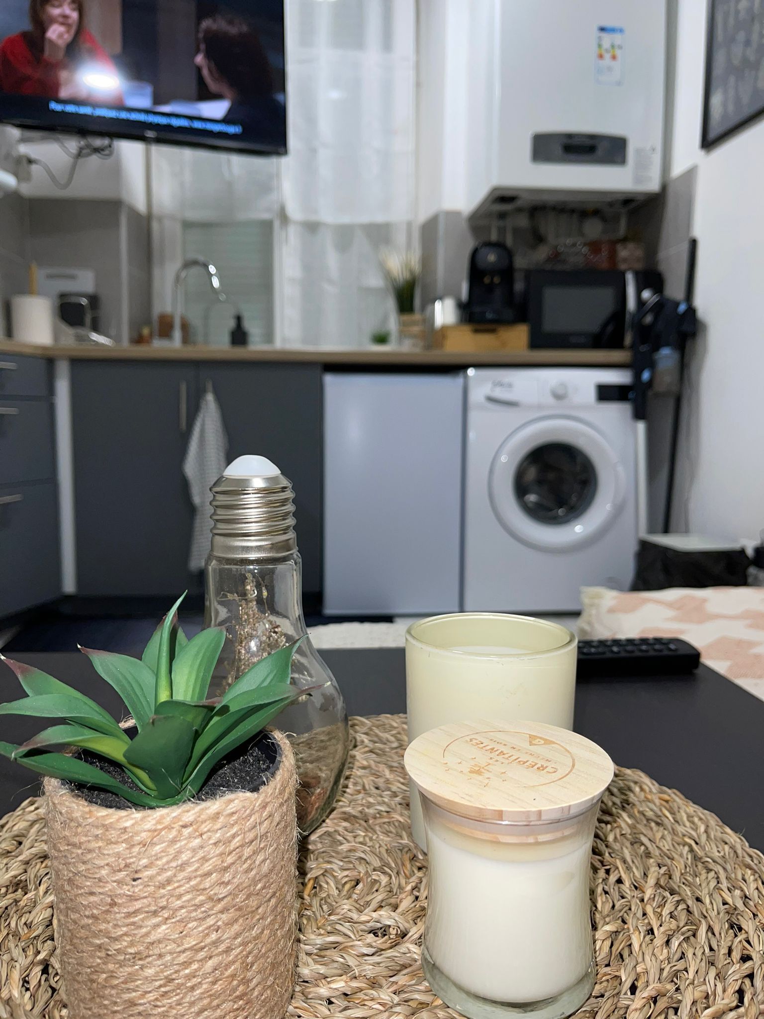 A kitchen with a washing machine, a television, and a plant on the counter.