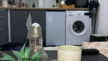 A kitchen with a washing machine, a television, and a plant on the counter.