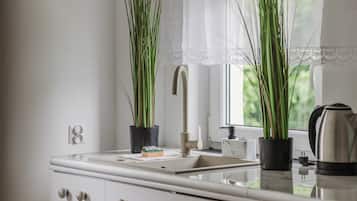 Fridge, oven, stovetop