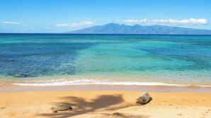 A beach with clear turquoise water and a mountain range in the background.