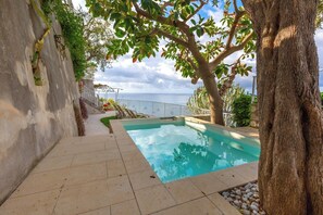 A swimming pool with a view of the sea, surrounded by a stone wall and trees.