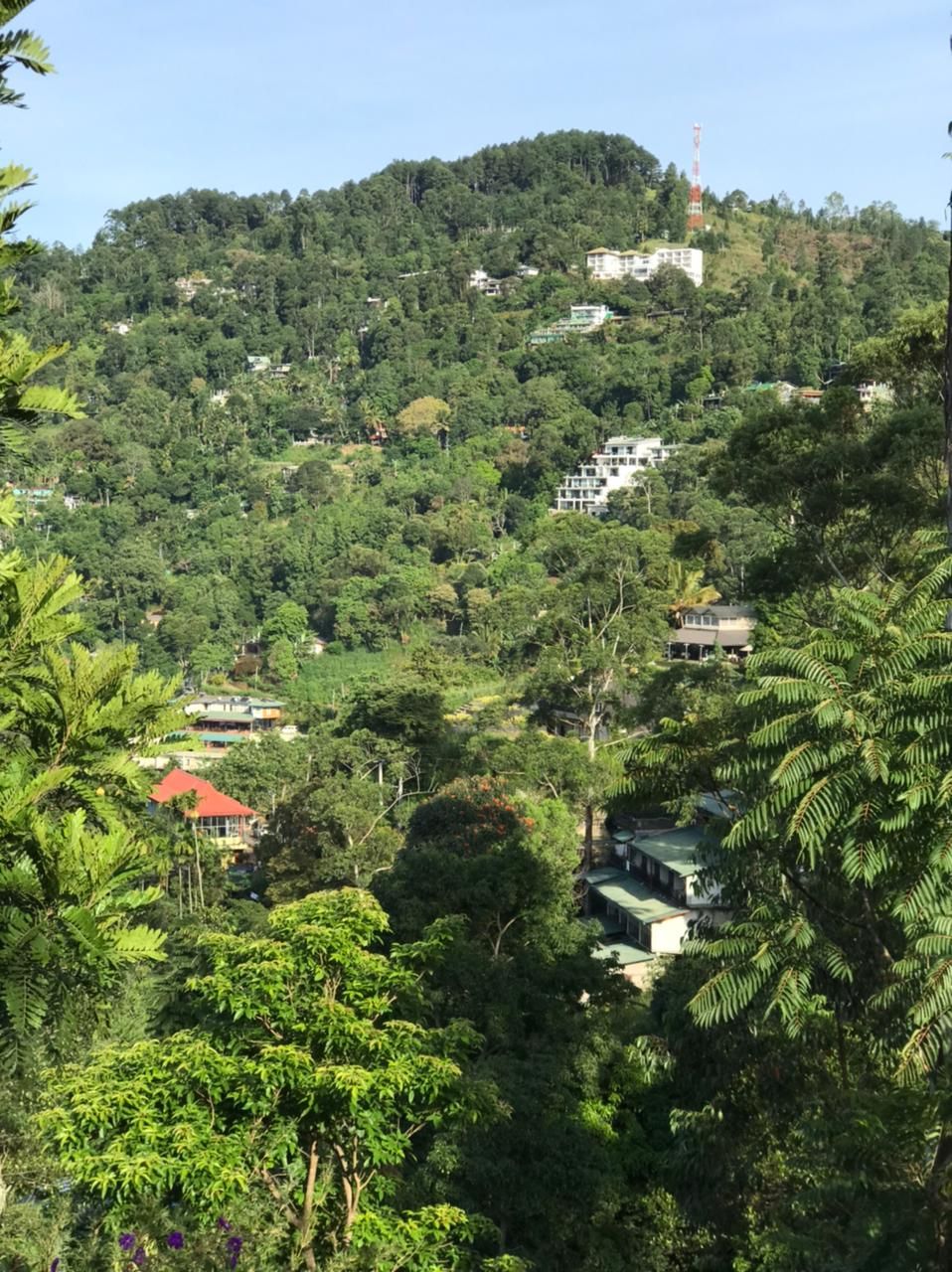 Une colline parsemée de plusieurs bâtiments, dont un imposant bâtiment blanc surmonté d’un toit vert et une autre construction dotée d’un toit rouge.