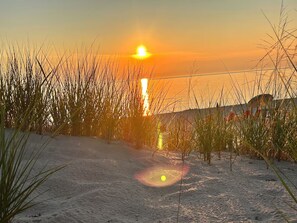 Sun loungers, beach towels - Unique, Silver Lake Tree House in popular beach town. It's one of a kind. (Mears)