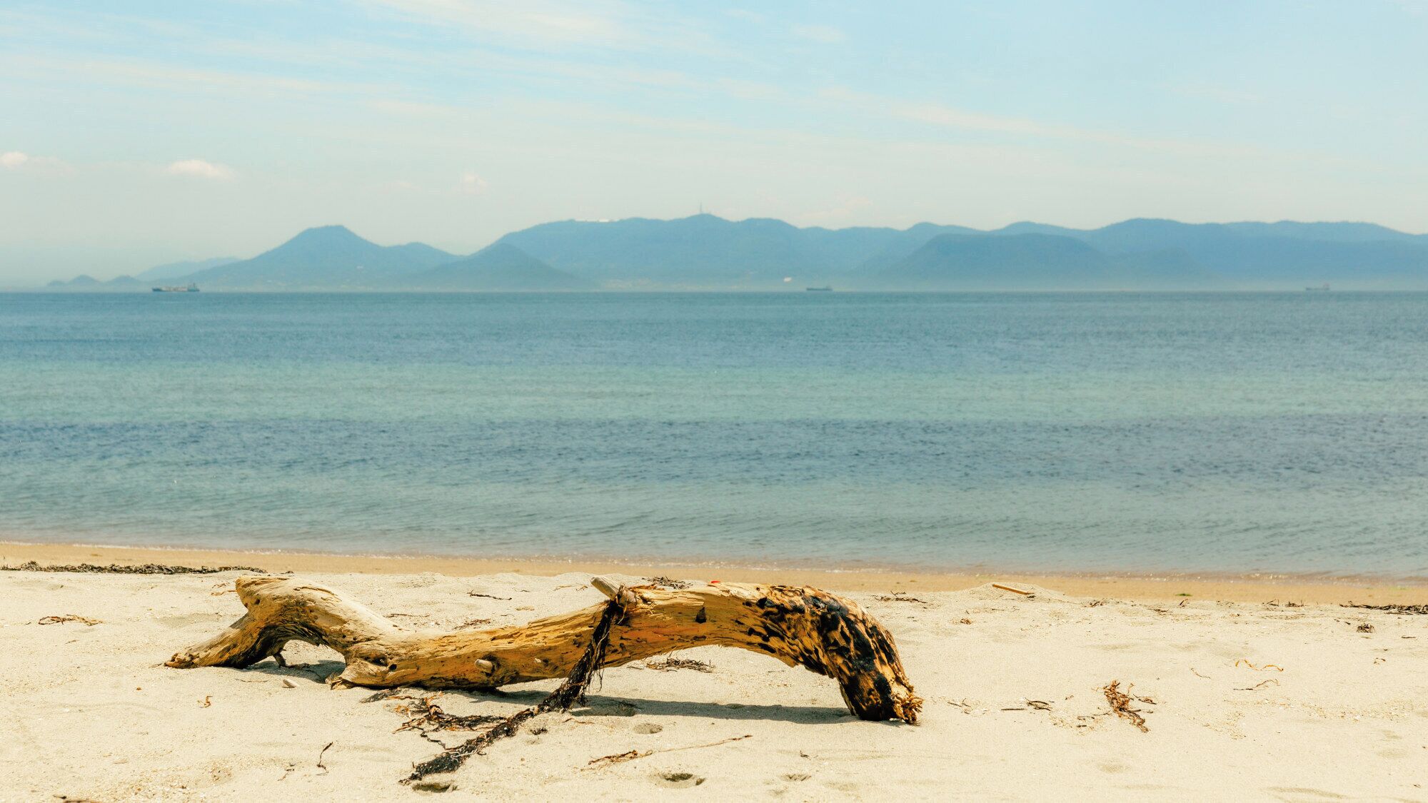 A beach with a large driftwood log in the foreground and a calm sea with distant mountains.