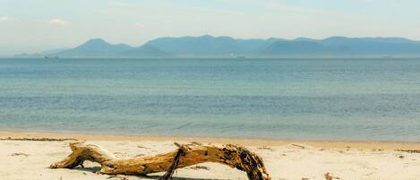 A beach with a large driftwood log in the foreground and a calm sea with distant mountains.