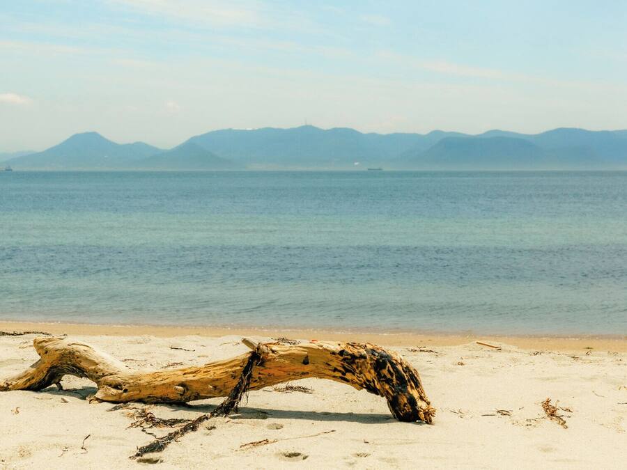 A beach with a large driftwood log in the foreground and a calm sea with distant mountains.