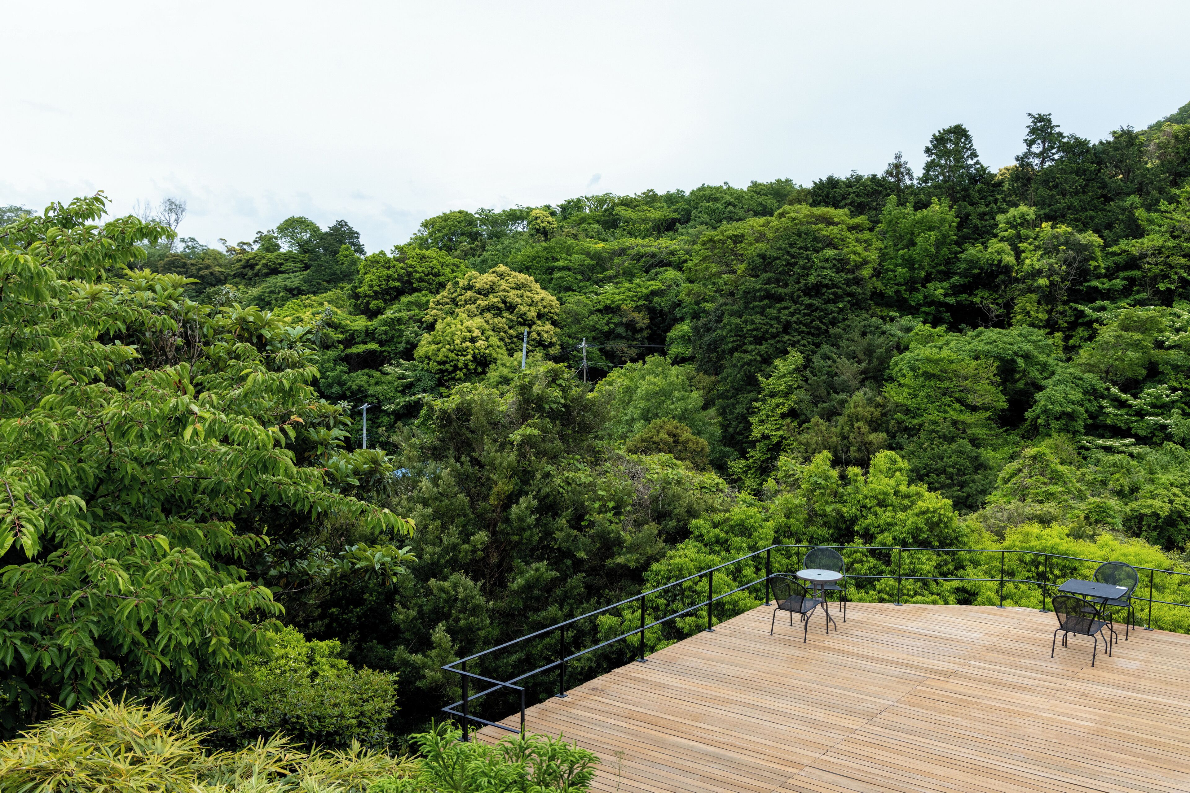 Panorama Twin kamer, uitzicht op bergen | Terras
