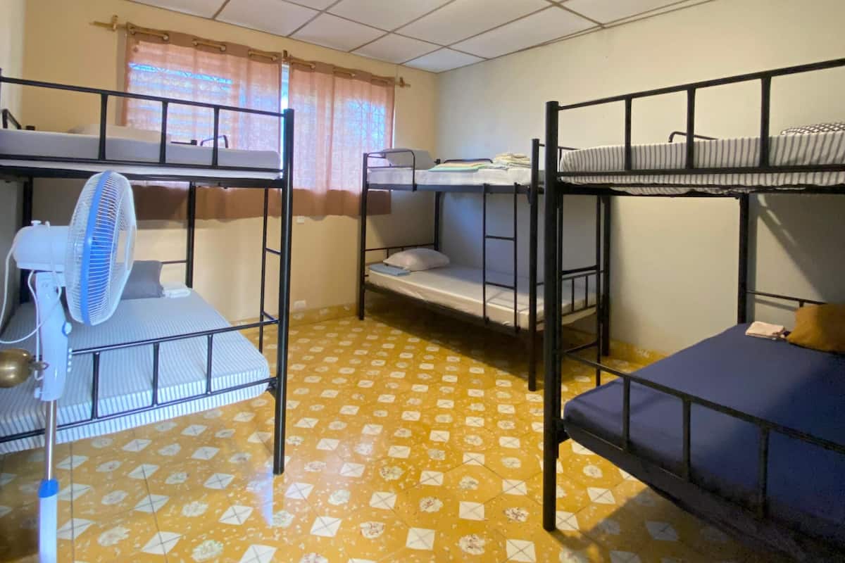 Standard Shared Dormitory, City View, Tower