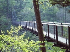 A suspension bridge in a forested area with a metal railing and a pathway.