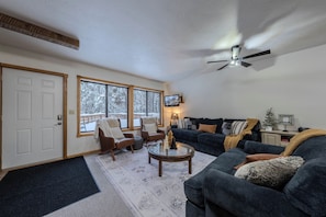 TV, fireplace, DVD player, books