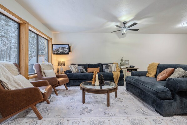 TV, fireplace, DVD player, books