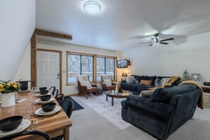 TV, fireplace, DVD player, books