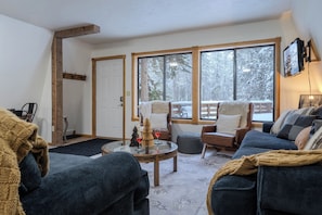 TV, fireplace, DVD player, books