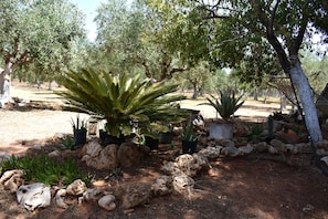 Un jardín con diversas plantas y rocas, incluyendo una planta similar a una palmera y varias plantas en macetas.