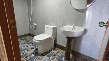 Shower, bidet, towels, toilet paper