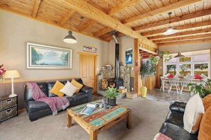 TV, caminetto, libri, studio