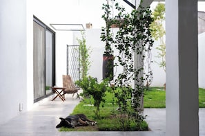 Comfort Double Room, Patio, Garden View | Garden view