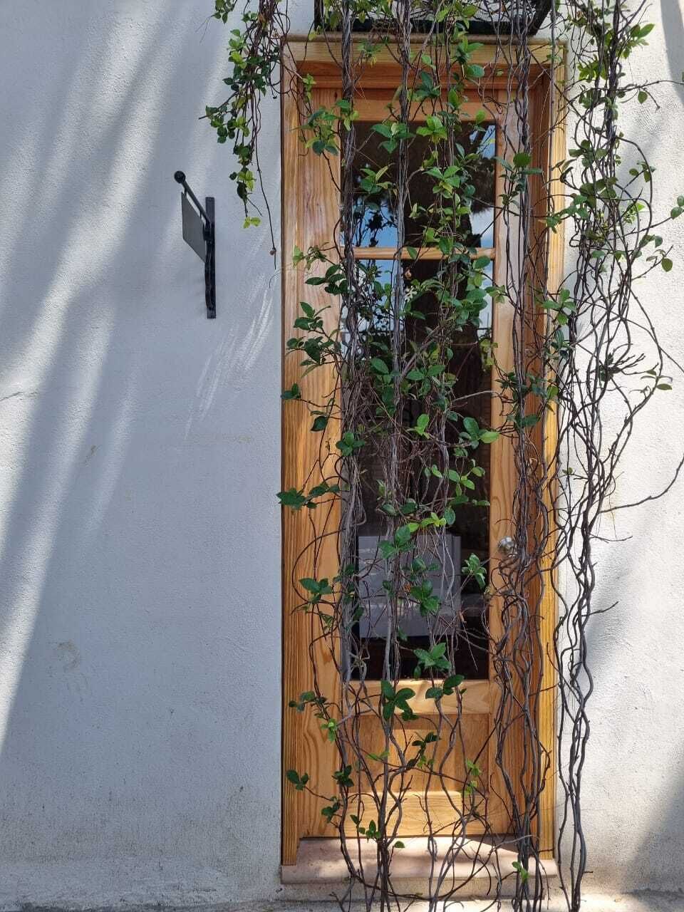 Una puerta de madera con un ventanal, rodeada de plantas trepadoras.