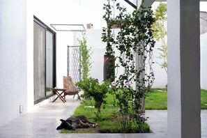 Kamar Double Comfort, patio, pemandangan kebun | Denah