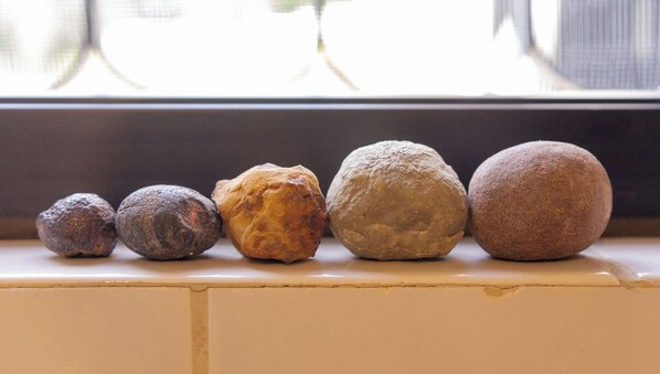 A row of six doughnuts on a ledge.