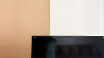 Televisión